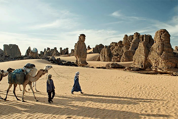 100 weekly trips to Tunisia and Turkey