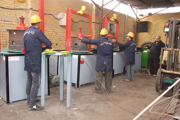 Over 200,000 Egyptians are secured, benefit from facilities in Algeria