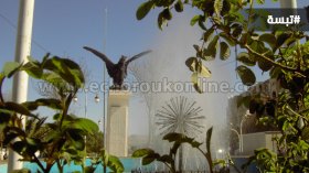 18 جريحا وتخريب سيارات في مواجهات بسبب أراض في تبسة