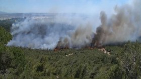 حرائق تلتهم غابات طنجة
