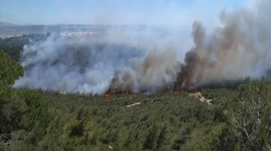 حرائق تلتهم غابات طنجة