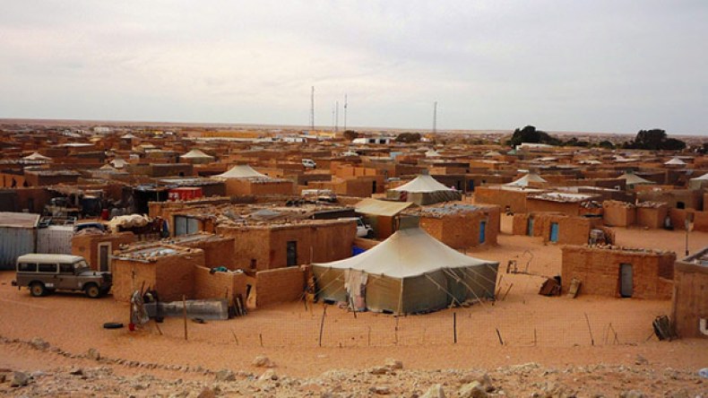 بعثة طبية جزائرية تقدم خدمات صحية بمخيمات اللاجئين الصحراويين