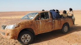 توقيف تسعة مهربين و217 مهاجراً غير شرعي في ثلاث ولايات