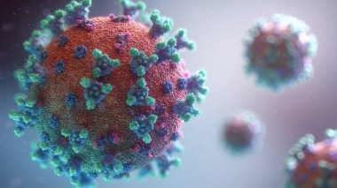 Le coronavirus peut survivre jusqu’à neuf heures sur la peau humaine