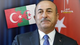 هل تتحرر العلاقات الجزائرية التركية بعد سقوط العصابة؟