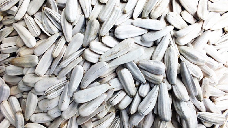 قشور البذور المملحة تحوّل الشوارع والشّواطئ إلى مزبلة كبيرة