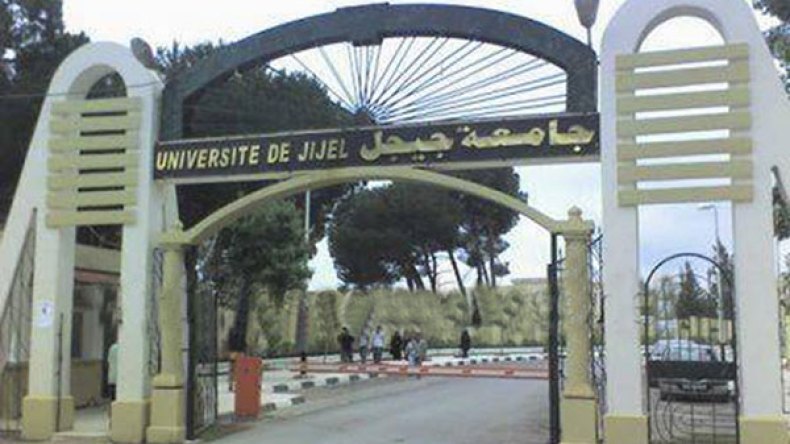 دكتورة في الرياضيات متهمة بالسرقة العلمية.. ودكاترة يطالبون بالتحقيق