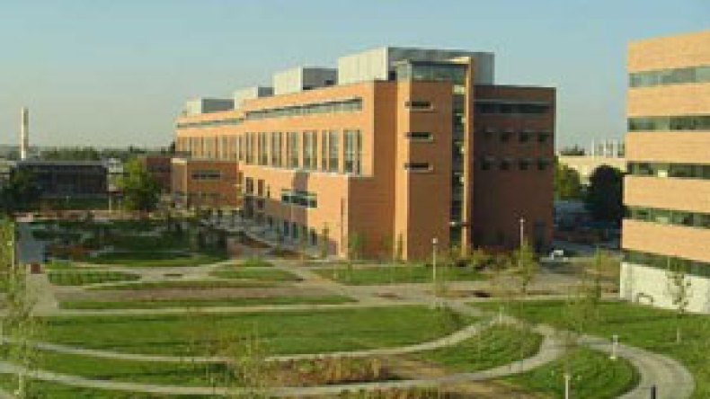 جامعة كولورادو تفتح فرعا بالجزائر