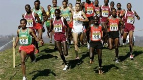 600 عداء وعداءة في سباق الزيبان هذا السبت