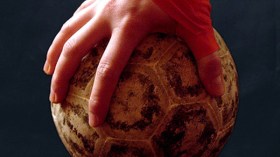 كرة اليد: قاعة جديدة بـ17 ألف مقعد في الخروبة