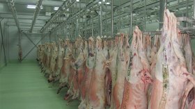 استيراد كميات معتبرة من اللحوم الإسبانية قبل رمضان