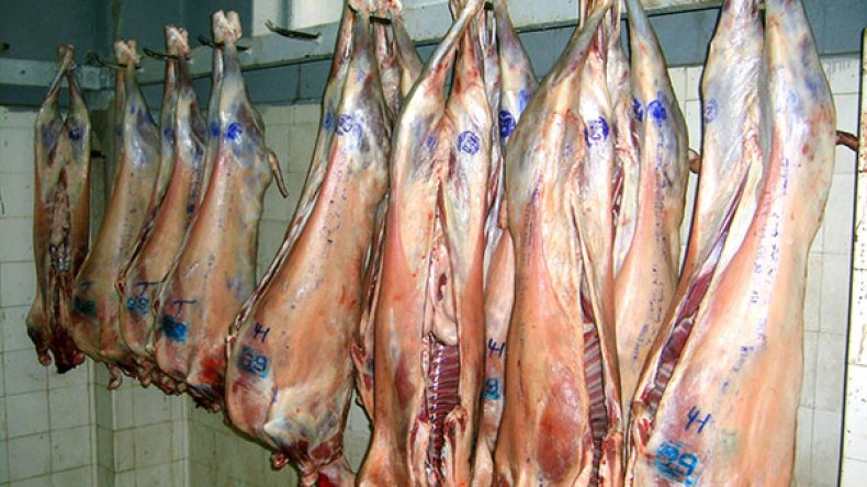 الأمطار قلصت نفوق الماشية.. وأسعار اللحوم مرشحة للارتفاع