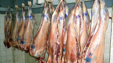 Ramadhan-2016: Meat “halal” imported from 10 countries