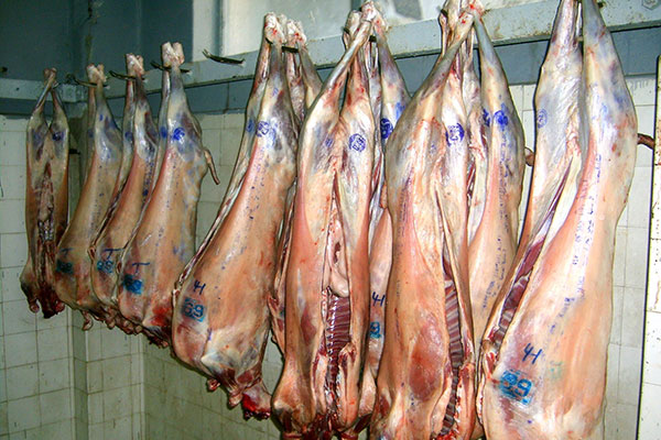 Ramadhan-2016: Meat “halal” imported from 10 countries