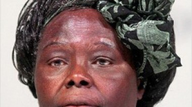 Wangari Maathai, Prix Nobel de la Paix, est décédée