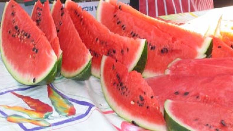 تسجيل 17 حالة تسمم بتموشنت وحجز 3 قناطير من الدلاع المسموم