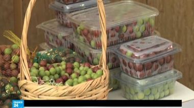 كفر راعي-الضفة الغربية: مهرجان للكرز لدعم المحصول في وجه القيود الإسرائيلية