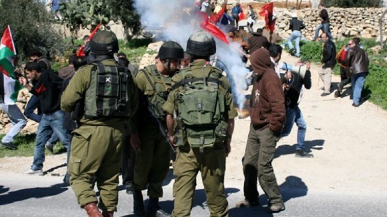 الاحتلال يعتقل 12 فلسطينياً في الضفة الغربية