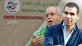 الفاف “تحارب” التكوين والاستقرار