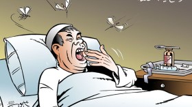 الوضع في المنطقة