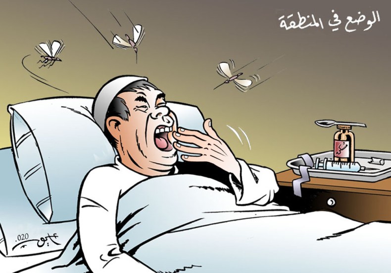 الوضع في المنطقة