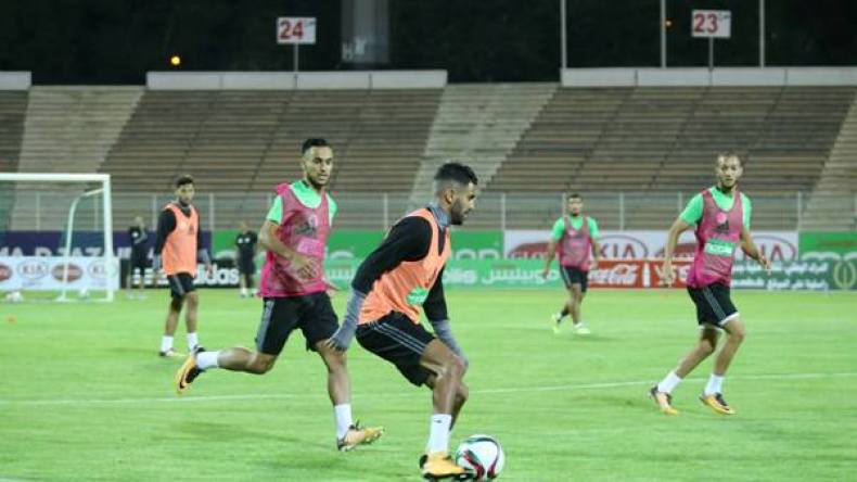 المحترفون يغيبون عن مواجهة الجزائر والإمارات