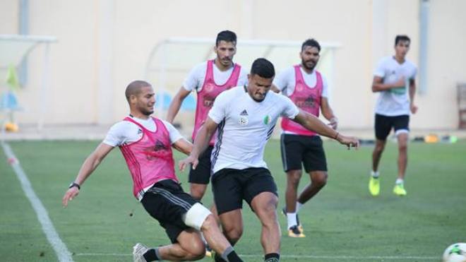 “محاربو الصحراء” يُهنّئون الشعب الجزائري