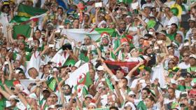 نفاد تذاكر مباراة الجزائر والكاميرون