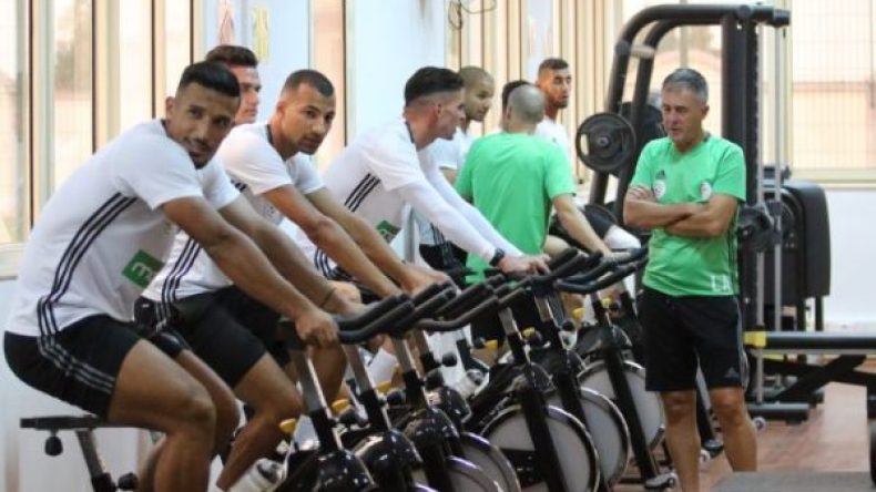 تعداد “الخضر” صار شبه مكتمل