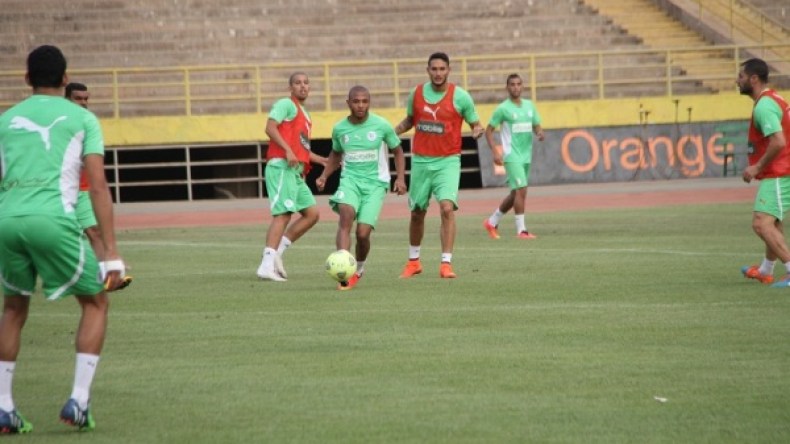 “محاربو الصحراء” بلباس أخضر