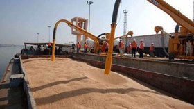 فاتورة واردات الحبوب في الجزائر تتراجع