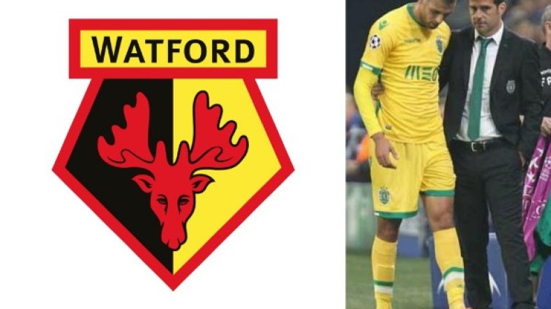 ماذا قال مدرب واتفورد عن سليماني؟