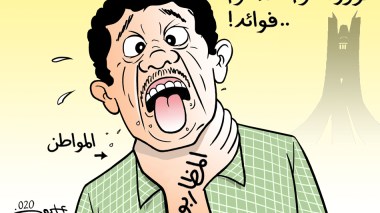 المواطن