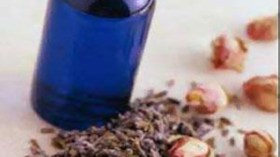 Lethal natural herbs seized at the port of Oran