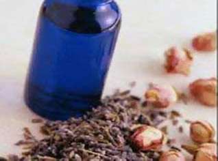 Lethal natural herbs seized at the port of Oran