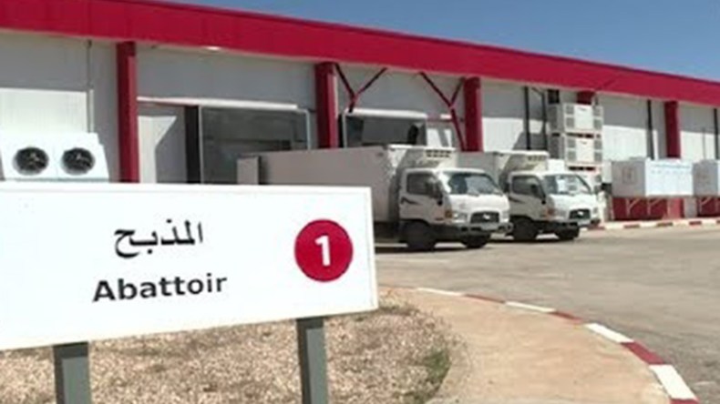 عمال بالمذبح الجهوي في الجلفة يهددون بالانتحار الجماعي