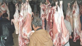 البياطرة يطالبون بالحماية خلال رمضان