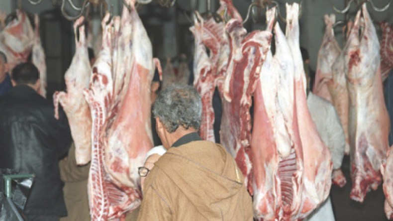البياطرة يطالبون بالحماية خلال رمضان