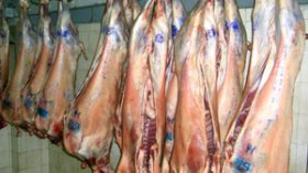 الإقامات الجامعية والثكنات العسكرية تتزود بلحوم ومواد غذائية غير مرخص بها صحيا