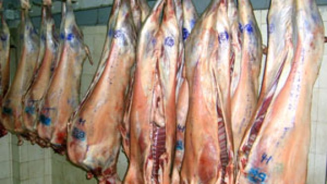 الإقامات الجامعية والثكنات العسكرية تتزود بلحوم ومواد غذائية غير مرخص بها صحيا