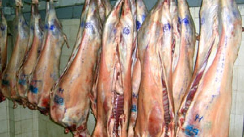 الإقامات الجامعية والثكنات العسكرية تتزود بلحوم ومواد غذائية غير مرخص بها صحيا