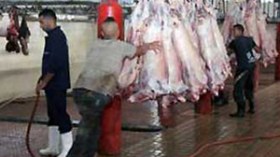 تجار اللحوم بـ”رويسو” ينددون بمحاولات الضغط على الحكومة