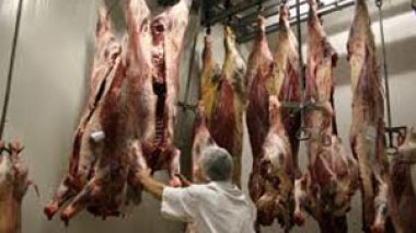 Fermeture de l’abattoir du Ruisseau : les chevillards mettent en garde contre la flambée des prix de la viande