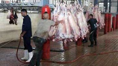 L’UGCAA appelle à un débat national sur les abattoirs