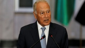 مصر تواصل بسط سيطرتها على الجامعة العربية