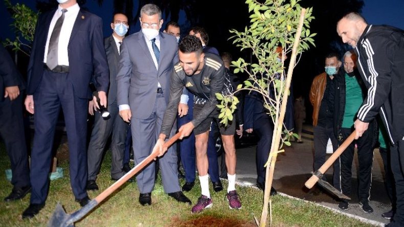 الوزير الأوّل جراد يزور “الخضر”