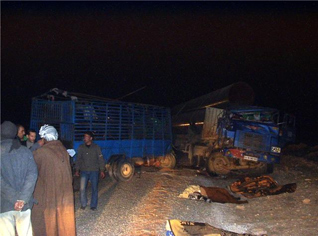 14 morts dans un accident de la route à Djelfa