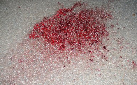 Sétif: peine capitale pour un vieux ayant écrasé sa femme