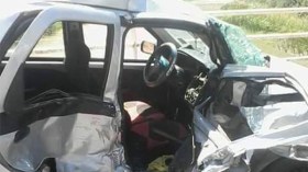 كلاب تقتحم الطريق السيّار تقتل قاصرا وتصيب 4 آخرين بجروح خطيرة