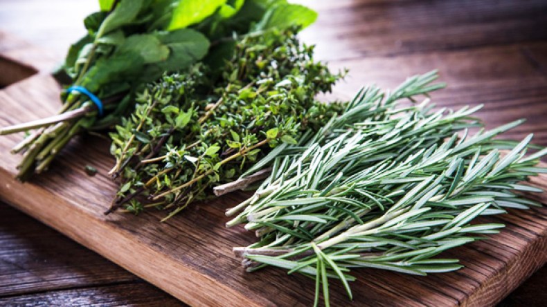 كيف تحافظين على الأعشاب طازجة لأطول فترة ممكنة